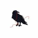 Black Bird Knitting Needleworks Profile Picture