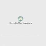 Charm City Mold Inspections Profile Picture