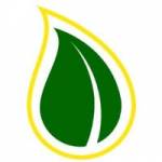 jonesaiden Profile Picture