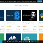 online itguru vr Profile Picture