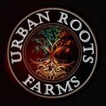 urbanrootsfarms Profile Picture