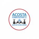 Acosta Plumbing Solutions Profile Picture