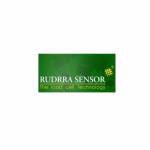 Rudrra Sensor Profile Picture